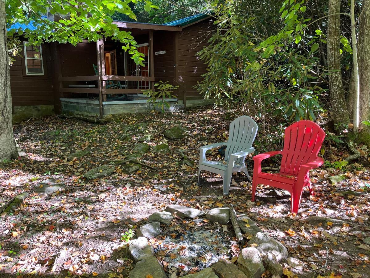Cozy Cabin Pet Friendly Ada Compatible Maggie Valley Exteriör bild